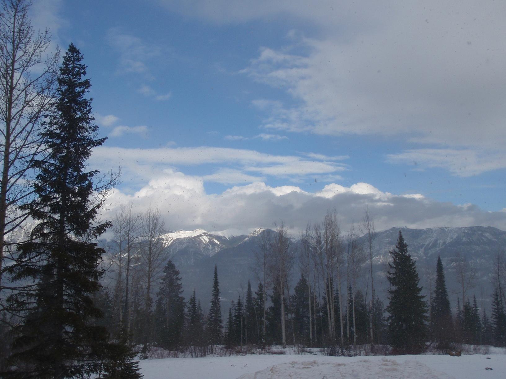 b0164067_248599.jpg
