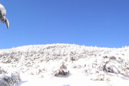 b0183680_29455.jpg