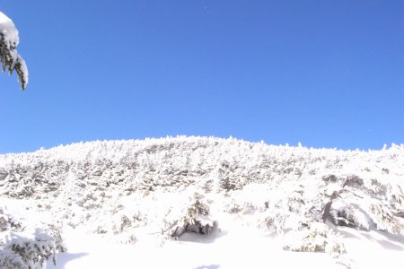 雪山：八ヶ岳_b0183680_29455.jpg