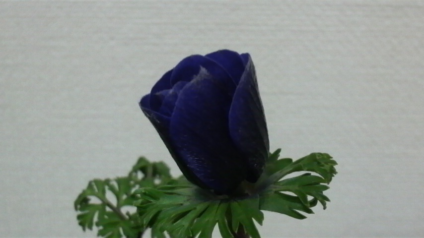 b0134285_22125211.jpg