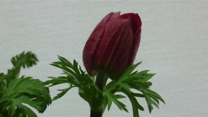 b0134285_22135100.jpg