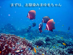 久しぶりにデイトリップもいいかな♪_f0144385_20145759.jpg