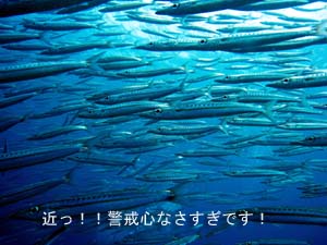 久しぶりにデイトリップもいいかな♪_f0144385_20154962.jpg