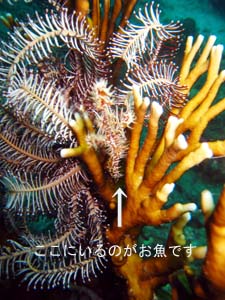 久しぶりにデイトリップもいいかな♪_f0144385_20165054.jpg
