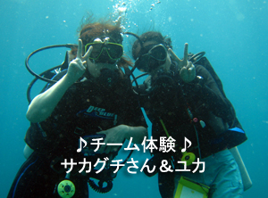 友情ダイビング!!_f0144385_20433417.jpg