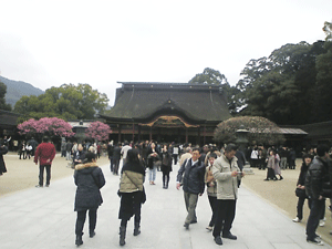b0174996_2013239.gif