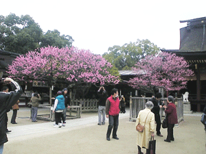 水城ちゃんぽん、準完食_b0174996_20152321.gif