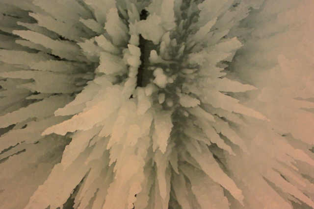 b0138798_22113154.jpg