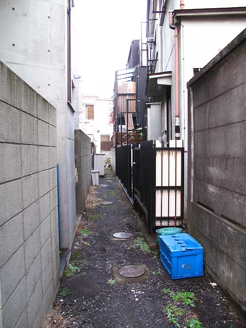 c0163001_2103622.jpg