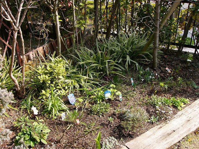 a0123003_20381069.jpg