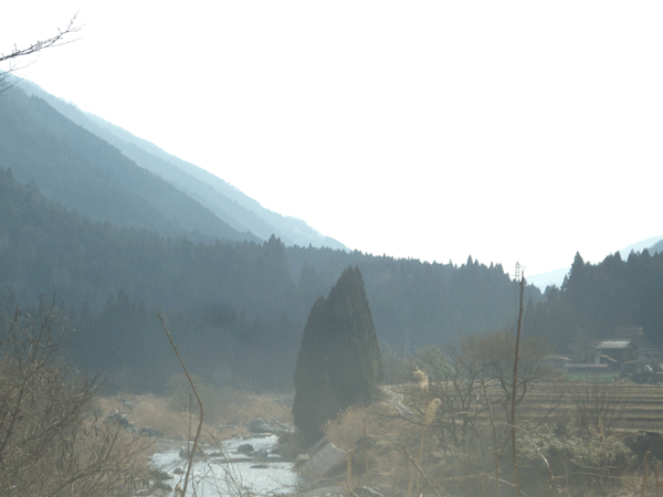 b0159611_23193034.gif