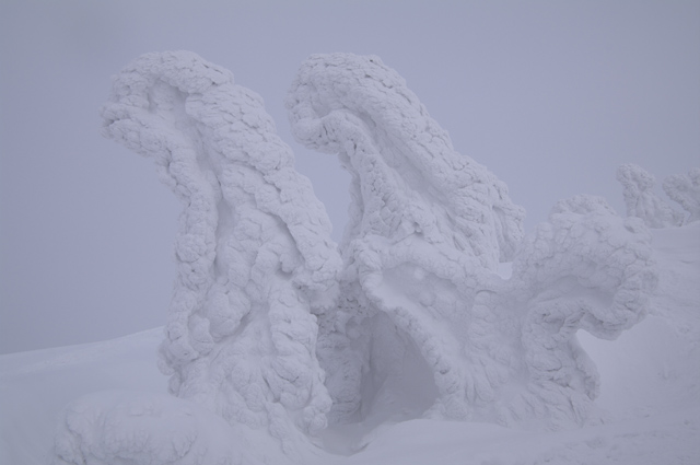 ２０１０年冬の東北の旅　八甲田のモンスター_c0110112_233553.jpg