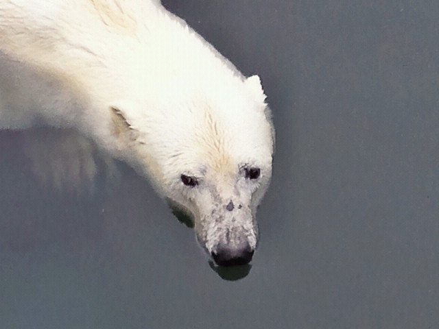a0151913_115717100.jpg