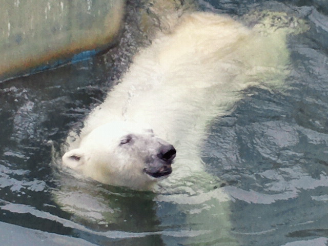 a0151913_11571754.jpg