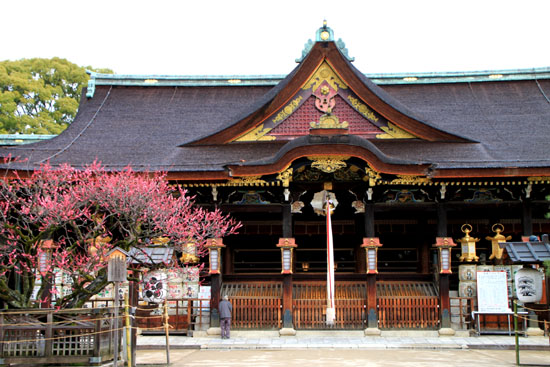 北野天満宮 1梅花満開_e0048413_18552596.jpg