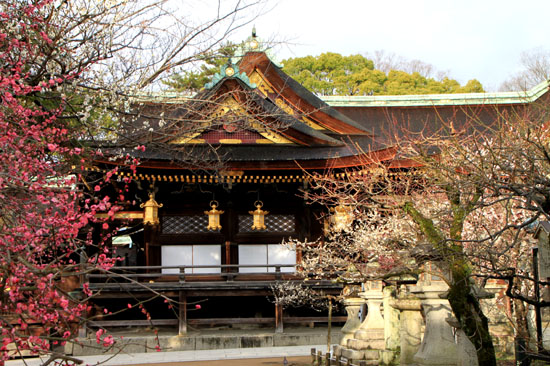 北野天満宮 1梅花満開_e0048413_18561446.jpg