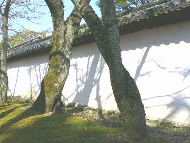 d0092026_15354310.jpg