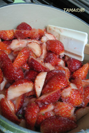 c0024729_11422144.jpg