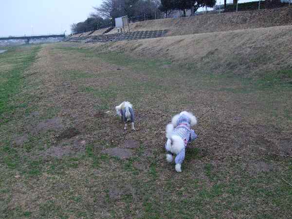 小雨でしたが、お散歩しました_e0191034_12501547.jpg