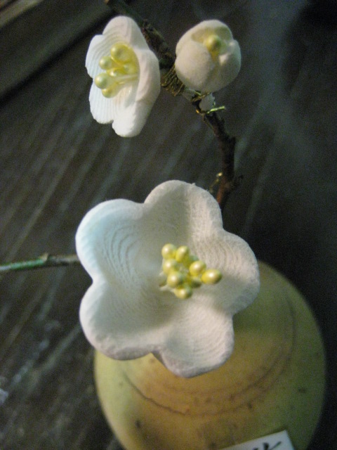 f0172342_12501648.jpg