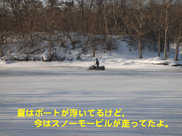 もうすぐ春？の大沼公園（2010.02.27）_c0147548_15132178.gif