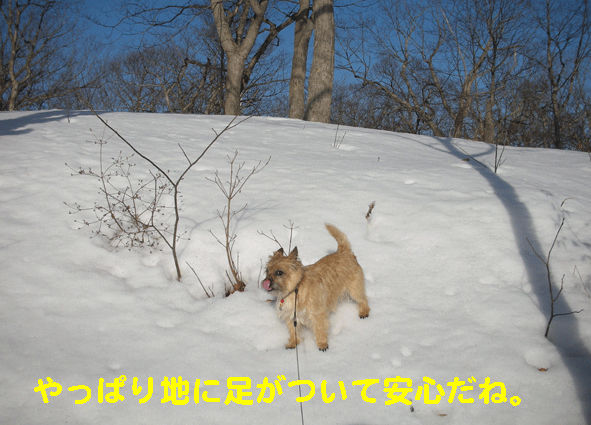 もうすぐ春？の大沼公園（2010.02.27）_c0147548_1530497.gif