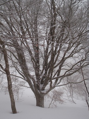c0097754_17241713.jpg