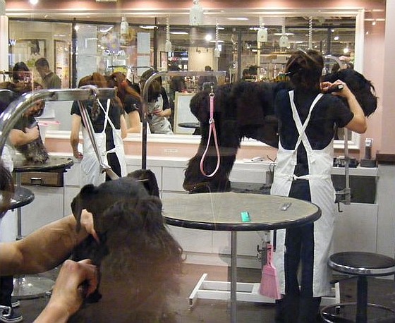 e0129656_2242770.jpg
