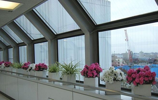 e0129656_2244310.jpg