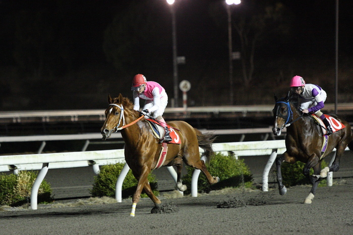 2010年2月28日（日） 高知競馬 10R 梅見月特別 C1 選抜馬_a0077663_2293222.jpg