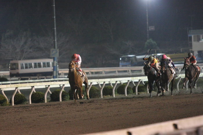2010年2月28日（日） 高知競馬 10R 梅見月特別 C1 選抜馬_a0077663_2294795.jpg