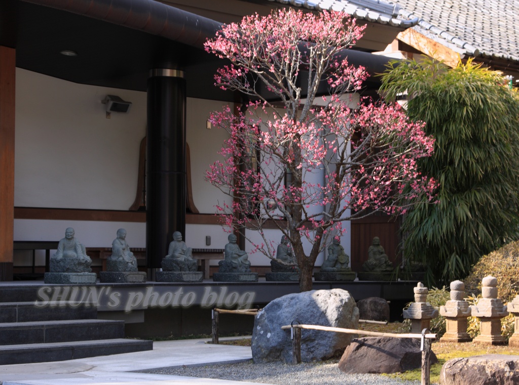 伊豆の旅 その2　in  修善寺_c0209667_109067.jpg