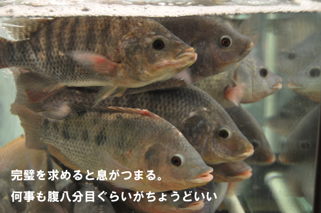 ツイッター名言集_e0171573_2236140.jpg