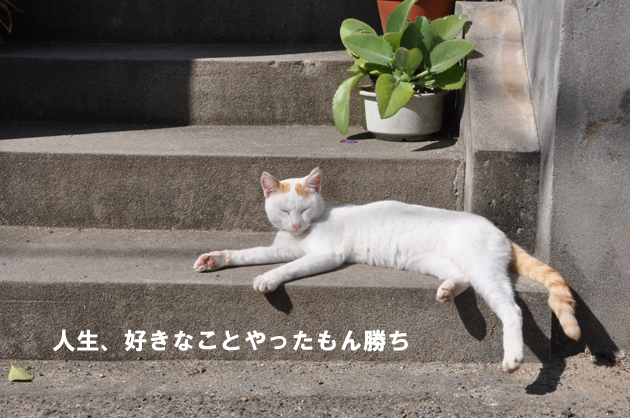 ツイッター名言集_e0171573_22362381.jpg