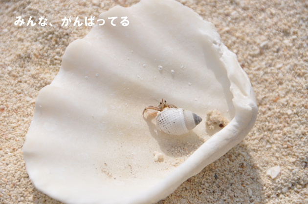 ツイッター名言集_e0171573_22363387.jpg