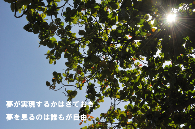 ツイッター名言集_e0171573_2236773.jpg