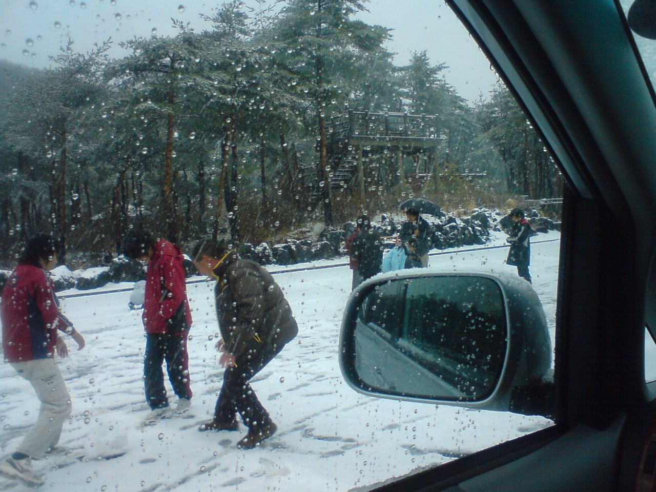 雪合戦_a0040876_858972.jpg