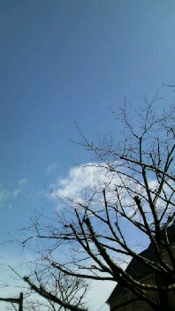 b0134285_14562824.jpg