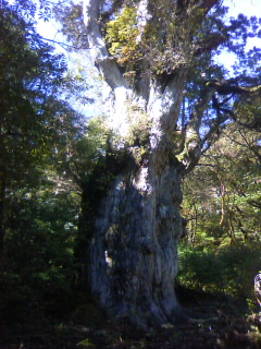 f0180993_18392817.jpg