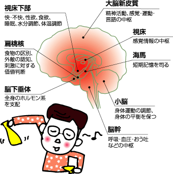脳がハイジャックされる 一目惚れを科学する 僕の魔法の黄色い靴 脳がハイジャックされる 一目惚れを科学する 僕の魔法の黄色い靴
