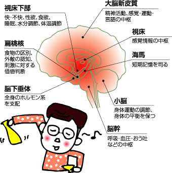 脳がハイジャックされる 一目惚れを科学する 僕の魔法の黄色い靴