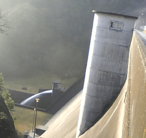 b0174996_21494741.gif