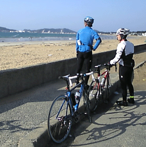 b0174996_22422918.gif