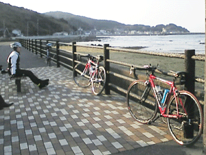 b0174996_231294.gif