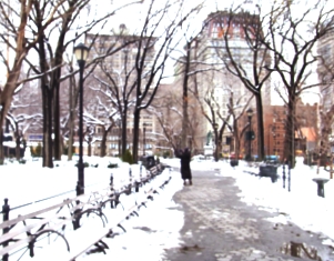 雪景色のユニオン・スクエア_b0007805_23163260.jpg