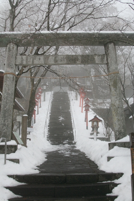 二月十五日 熊野神社_f0091207_1232769.jpg