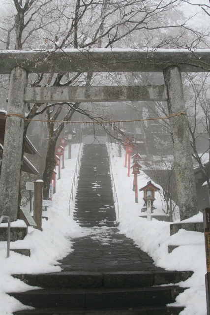 二月十五日　熊野神社_f0091207_1232769.jpg