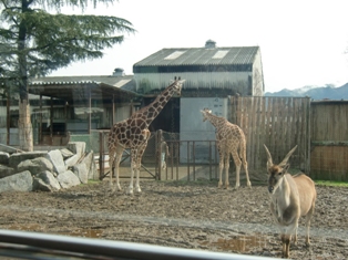 狩へ!!_a0128408_1952599.jpg