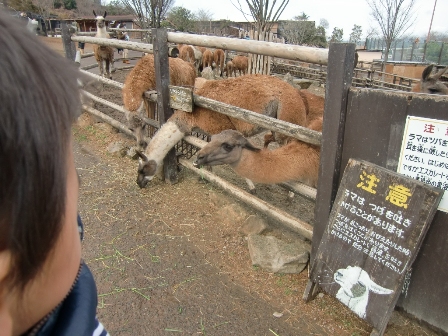 狩へ!!_a0128408_1961798.jpg