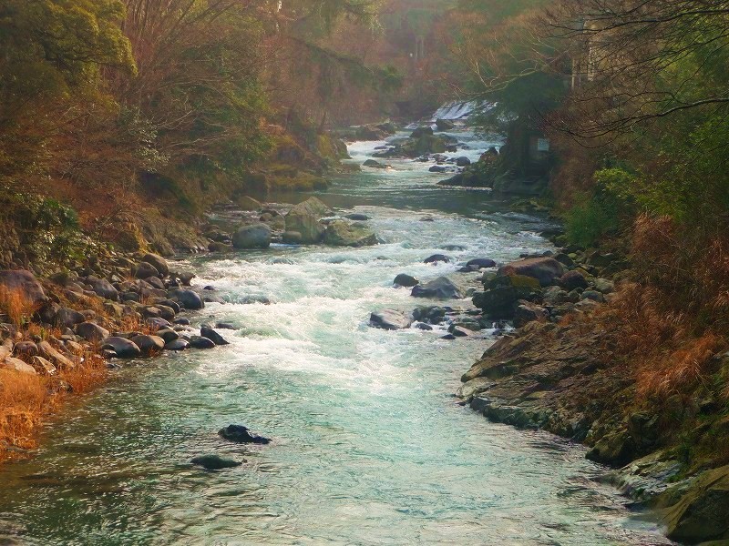 f0182513_903972.jpg